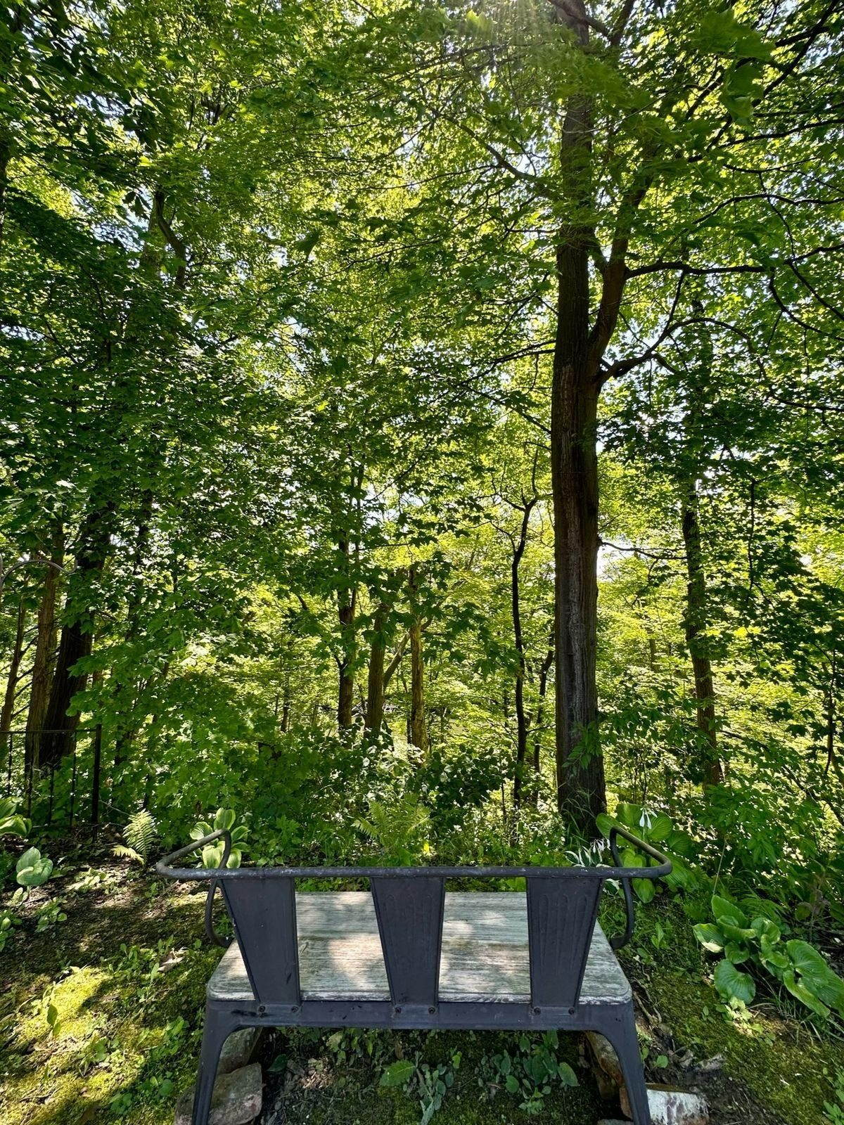 Wooden bench on the nature trail overlooking the Oak Orchard River at morning